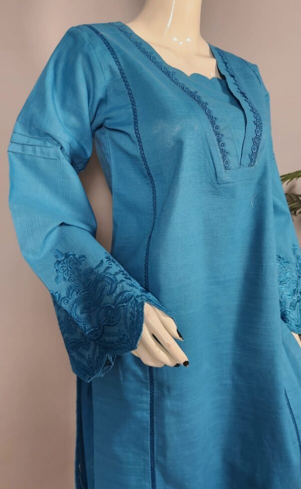 30891 RTR   Ferozddar emb 2pc