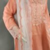 20260903_213110 31030 Chic Peach Emb 3pc